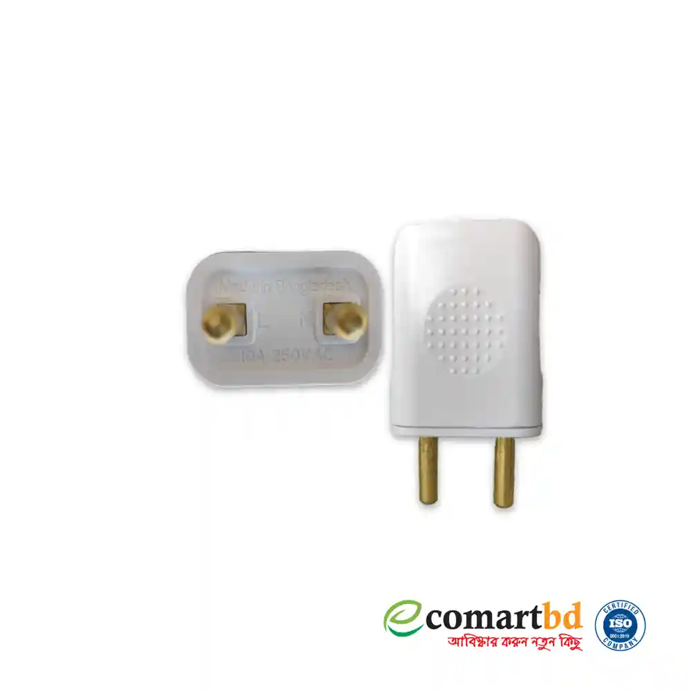 Two-Pin Electrical Plug